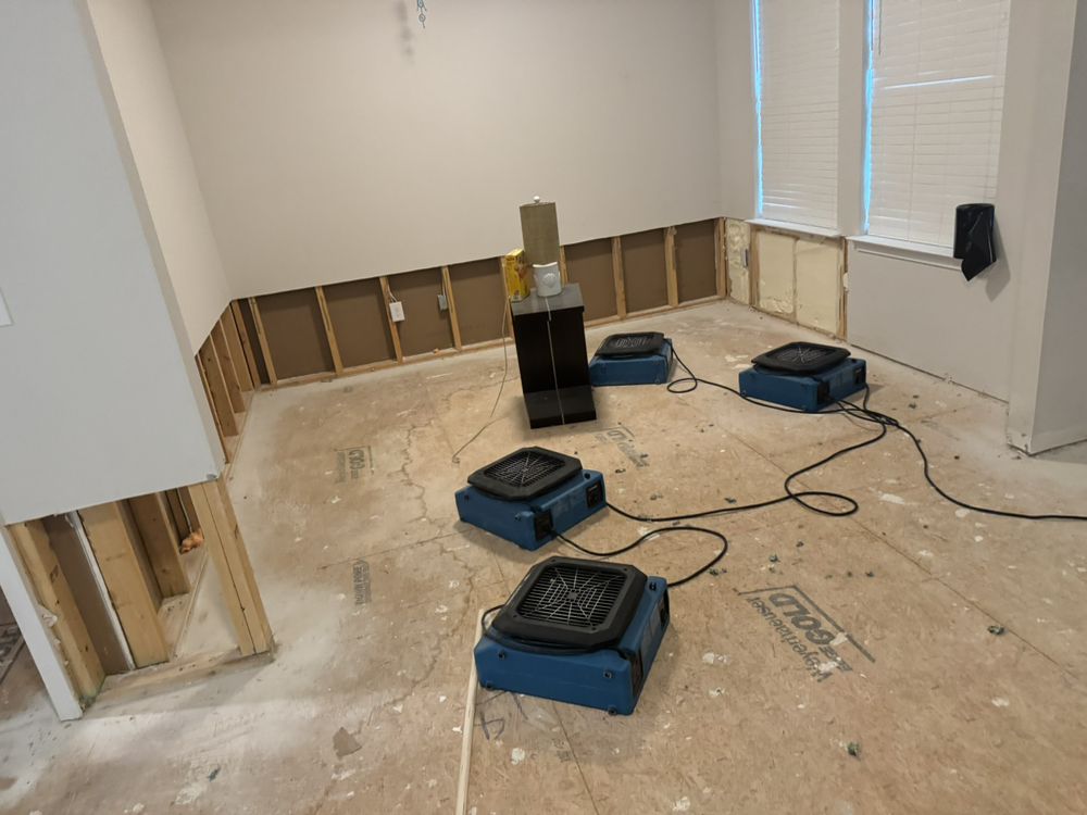 water removal and cleanup in decatur