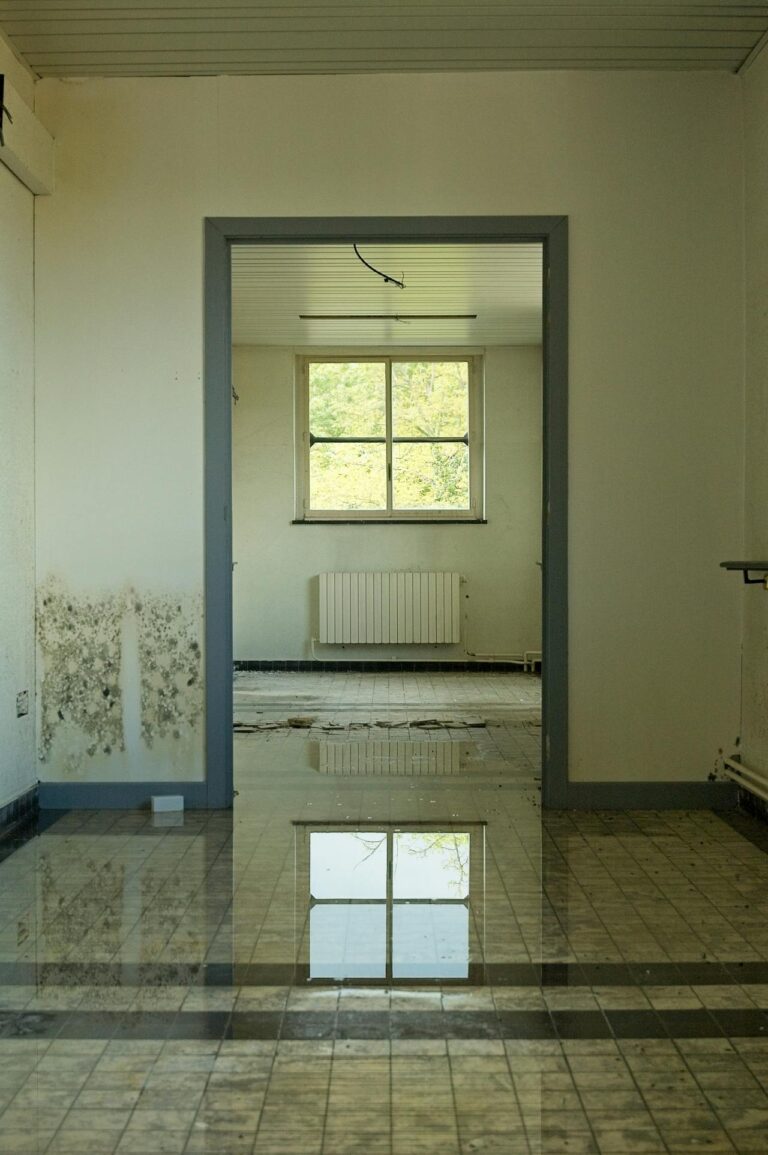 flooded living room before restoration, water extraction and cleanup service by Aquaflame Restores It