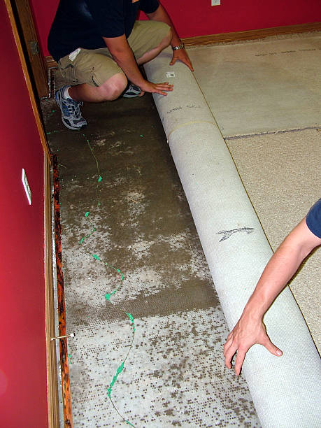 wet carpet water removal