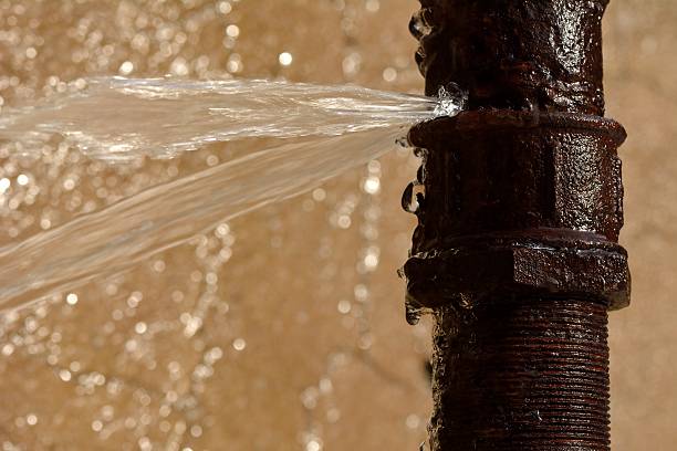 Crawlspace Drying & Moisture Control