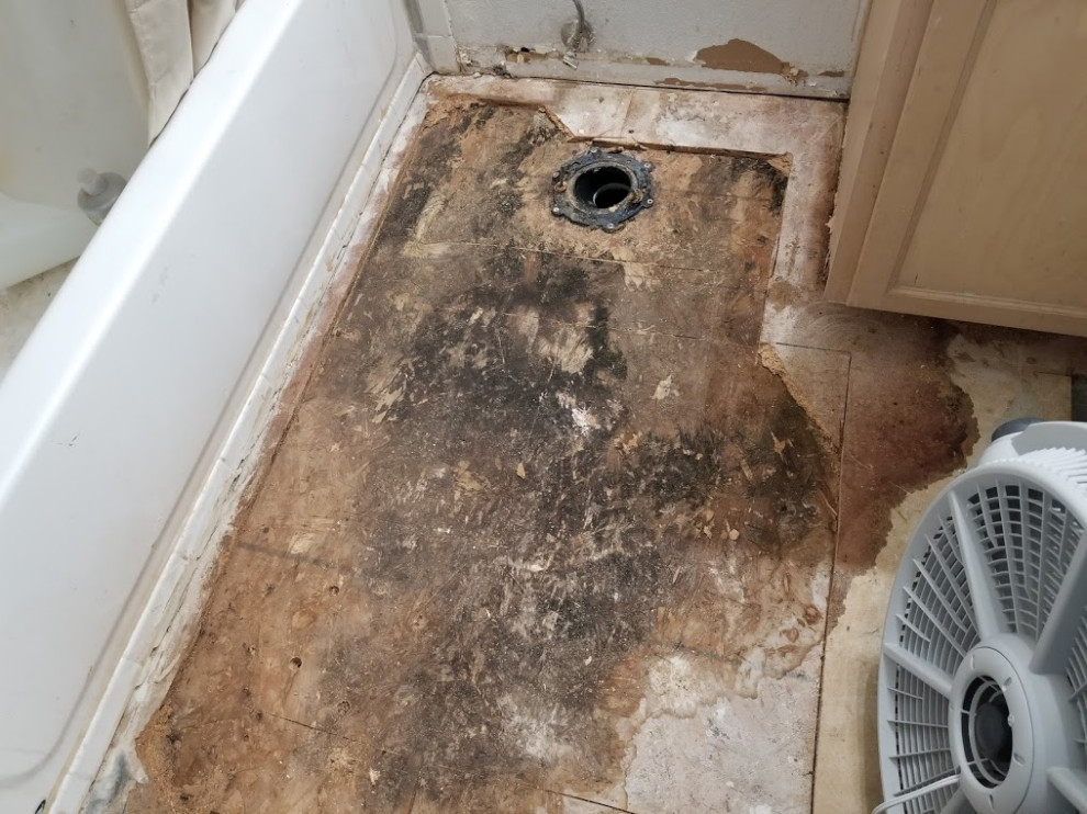 BATHROOM MOLD REMOVAL​