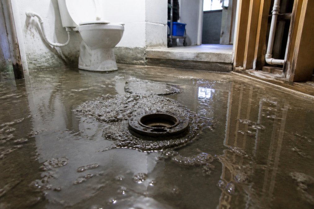 Health Risks of Sewage Backup in Home: What to Know